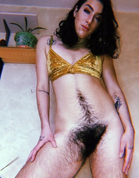 Cockteautwink best model picture