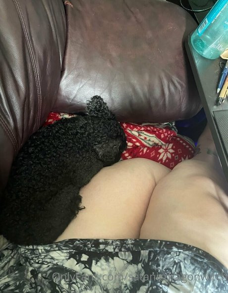 satanicdragonwitch free star pictures