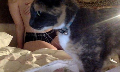 garbage bunni high quality model photo