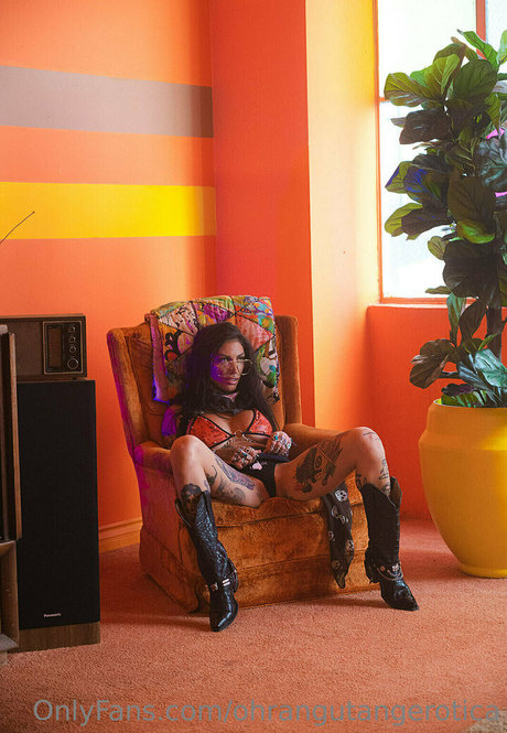 ohrangutangerotica high quality star archive