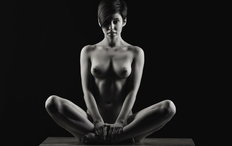 Hannacentauri star perfect galleries