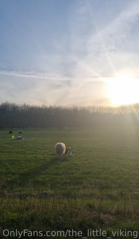 the little viking model beautiful galleries