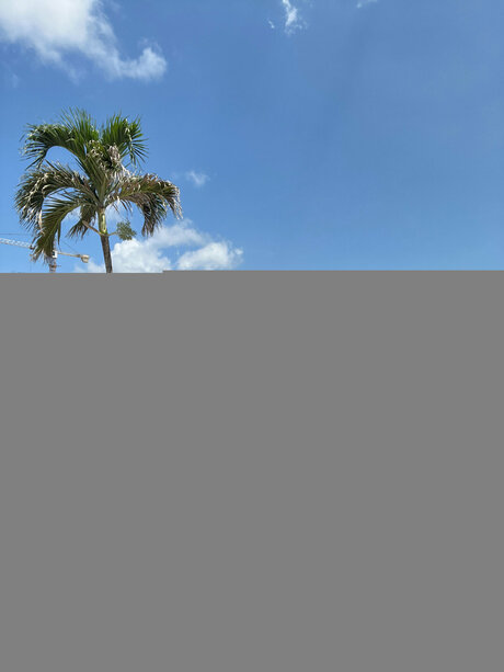 BiaBunnyy star art img