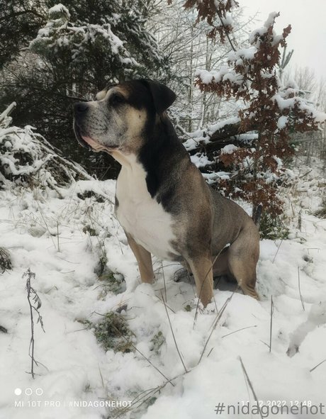 kim privat model nice pics