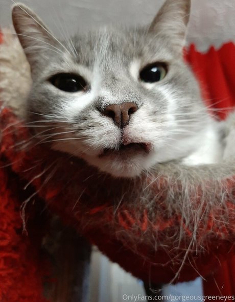 gorgeousgreeneyes naked pornstar img