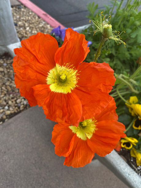 One Love Naked Yoga star nudes photos