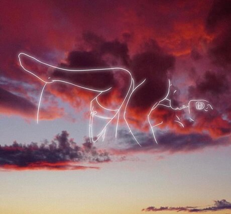 Kai Lee perfect star picture