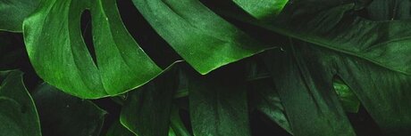 Mr J pretty pornstar photo