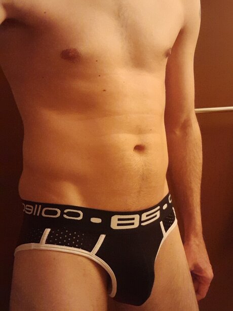 NuttyMoose top model image