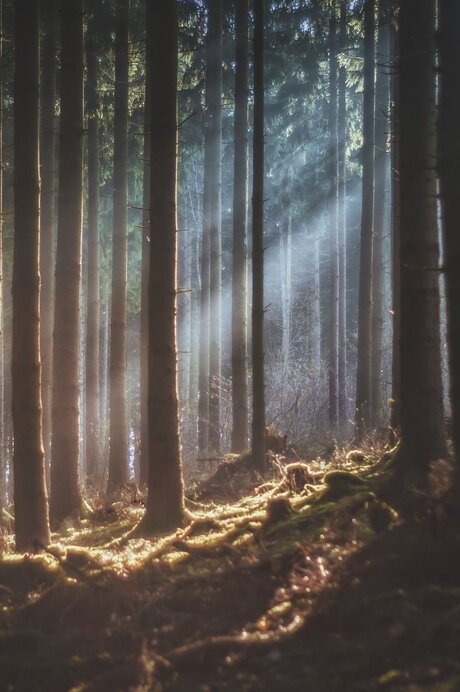 Goddess_ art model pictures