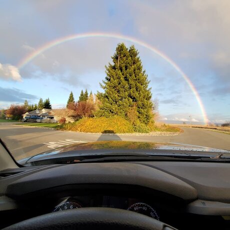 Rooster pornstar sex galleries