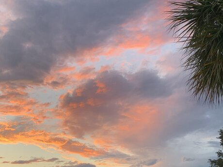 Sacred Dnari star xxx img