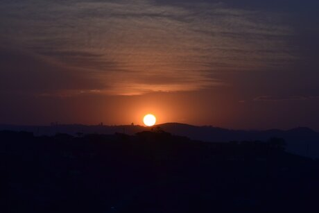 Coach Davis xxx actress img