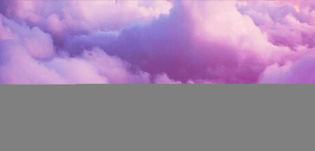 _COCO S VIP PAGE_ model galleries