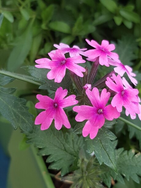 perfect body onlyfans beautiful porn galleries