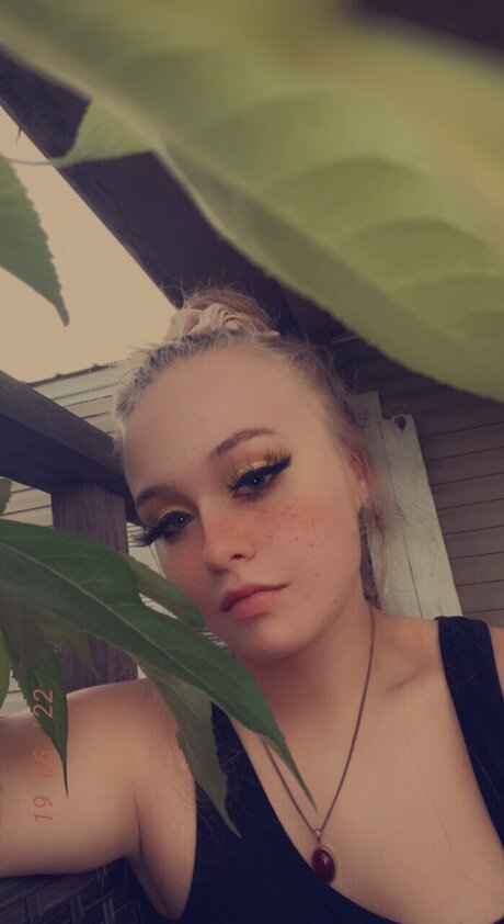 LilBit art pornstar pics