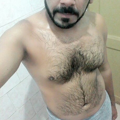 Desy BULL model hot images