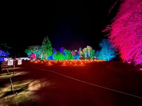 BigBoyLen star hd images