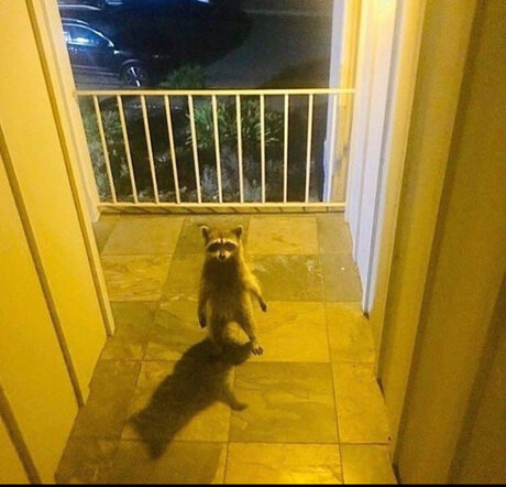 Franklin pretty actress gallery