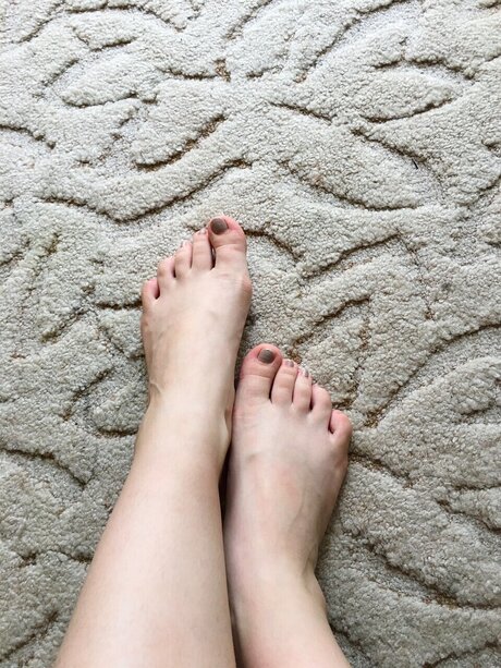 Dodo 22 hd star photo