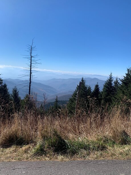 Sexy baddy model perfect archive