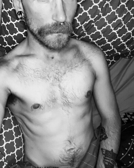 Kurl nice pornstar galleries