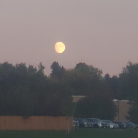 Firebraker pretty actress image