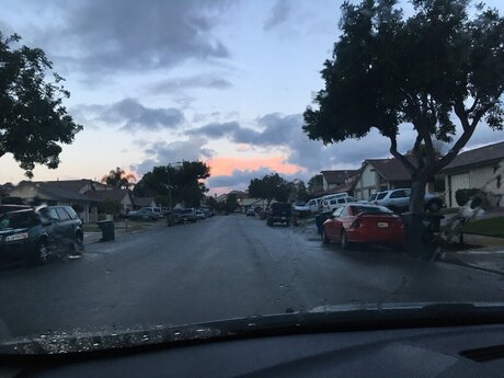 Megan Gardner exclusive star pics