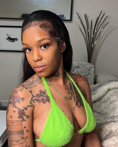 Minivee art pornstar photos