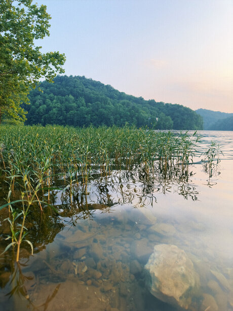 Huskycub58 model porn pic