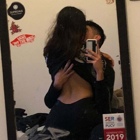 Ponys star high quality photos