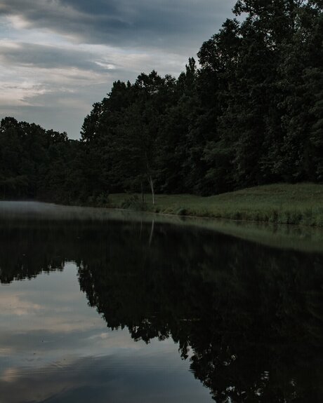 FlyThaiGuy pretty star pics