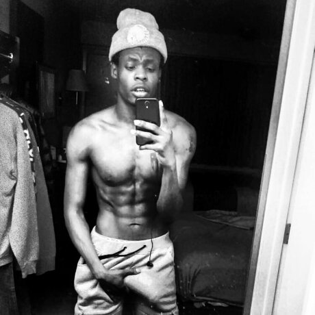 Valentino art star gallery