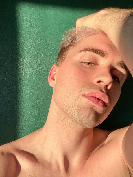 Alessi Leon nude pornstar photos