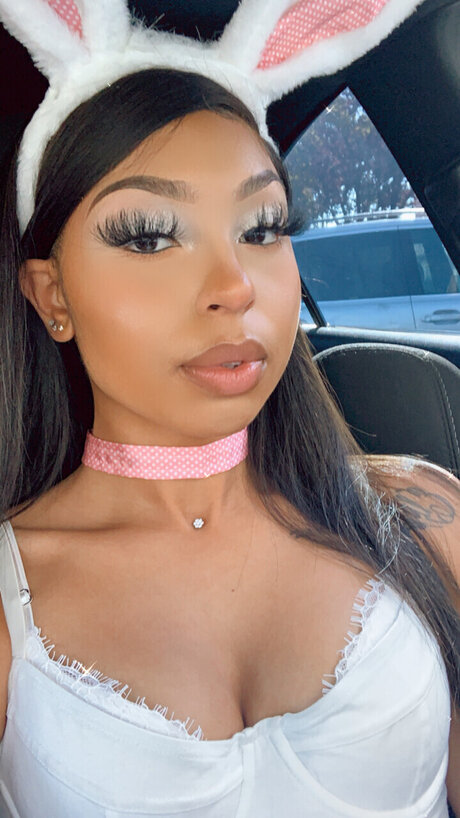 u86463530 model best archive