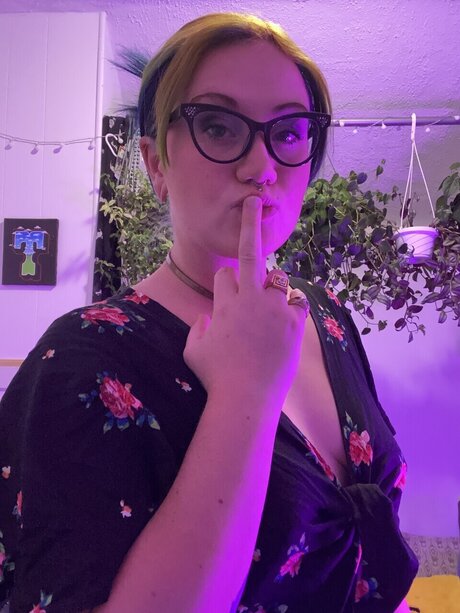 Olive Aster star art picture