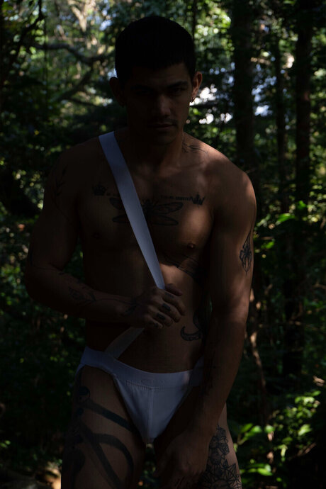 stanley villegas star perfect pictures