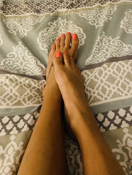 Daisy Delight hd star pictures