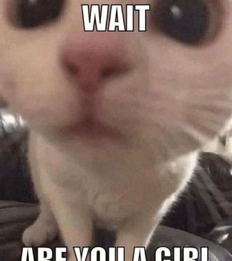 cutiekatw star xxx image