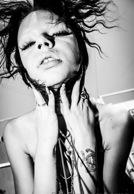 horrory star nice gallery