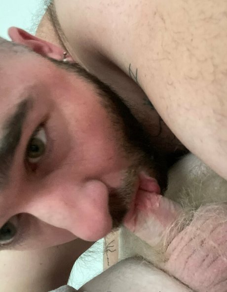 roaminghog model archive