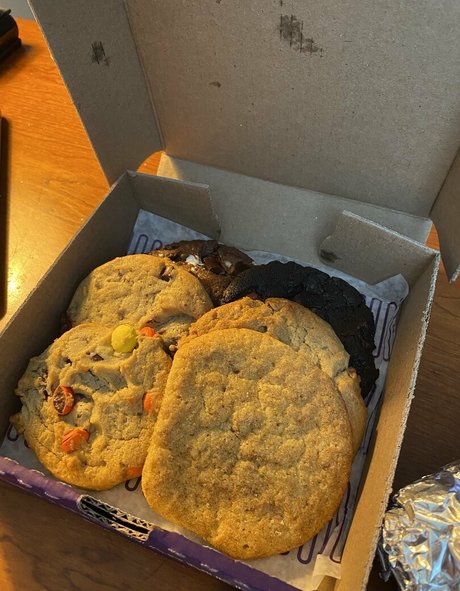 roaminghog model top photo