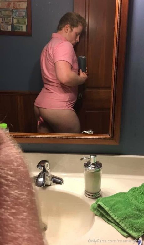 roaminghog model picture