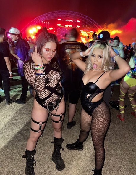 psychedelic kitty star pretty image