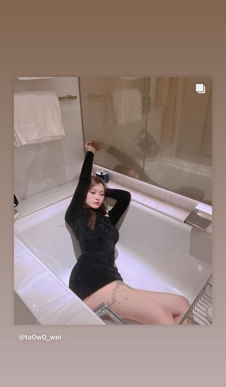 Tako wei model nude galleries