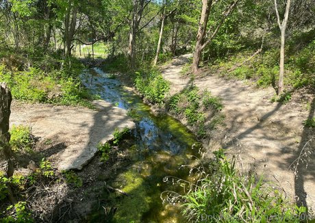 babyven0m xxx pornstar pic