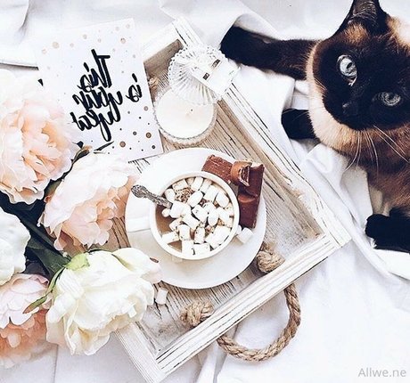 allwene free pornographic actress picture