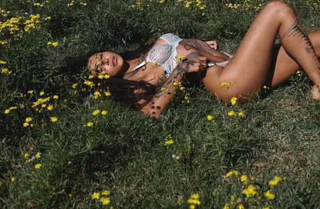 Thefreeelf hd star pictures