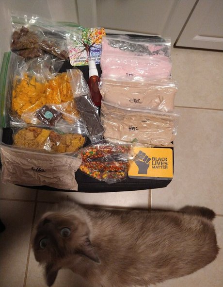 flowerpower87 pornographic actress archive