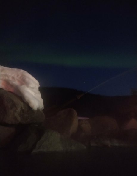 flowerpower87 pornstar image